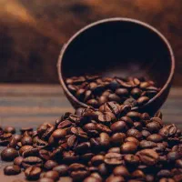کارشناس سوشال مدیا و دیجیتال مارکتینگ