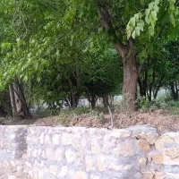 باغ ، سکو