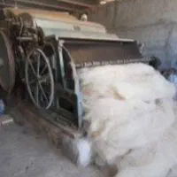 حلاجی پشم