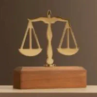 وکیل دادگستری / پیگیری تخصصی پرونده های قضایی