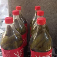 خیار شور درجه یک عالی