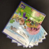 دیسک Minecraft / ماینکرافت