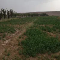 زمین-کشاورزی