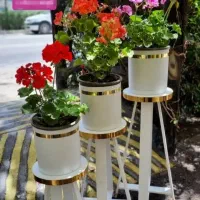 چهارپایه گل