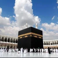 فروش یک عدد فیش عمره