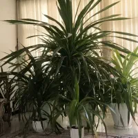 فروش به علت جا به جایی