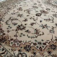 فرش کناره سالم وتمیز یک در چهار ۵۰۰ شانه ریشه دار