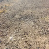 زمین مسکونی گنجه ای کهنه داخل طرح هادی