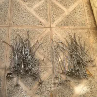 رگال