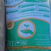 خریدجو وکود|خدمات باغبانی و درختکاری|شوش, |دیوار
