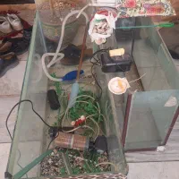 آکواریم با تجهیزات