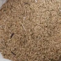 ضایعات گندم