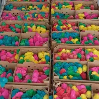 آبادانی مرغ