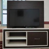 زیر تلوزیونی