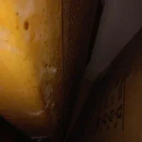 هودآشبزخانه