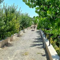 فروش باغ
