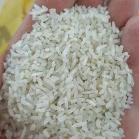 برنج نیم دانه ۱۶۹ و برنج سرلاشه