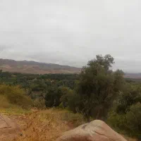 زمین مسکونی طارم