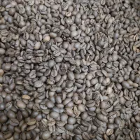 دانه قهوه بهترین در خوزستان