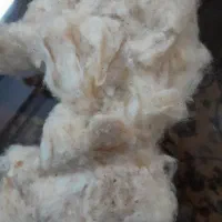 پنبه تشک