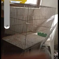 فروش قفس
