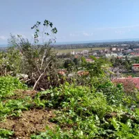 فروش ویلا باغ مسکونی  خانه نقلی  زمین متراژ بالا