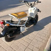موتور زومر هندا پاکشتی
