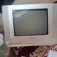 تلویزیون