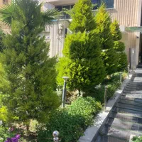 450متر-ویلایی-دربست-خیابان-میر