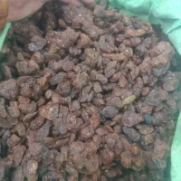 کشمش مویز