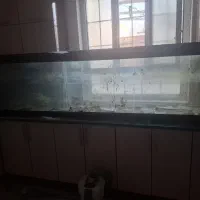 آکواریوم بزرگ به همراه دستگاه اکسیژن ساز