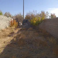 زمین روستا سکنج ماهان