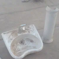 سرشور  به همراه شیر