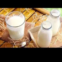 شیر محلی