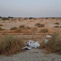 زمین