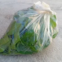 ننا خانگی  با کمترین هزینه  وخیلی کم