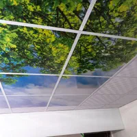 فروش نصب تخصصی پی وی سی سقف کاذب کناف آسمان مجازی