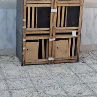 جفت دونی