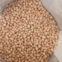 نخود درجه یک کامل تمیز، درشت و. خوش پخت به شرط