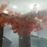 گل تزیینی برای فروش