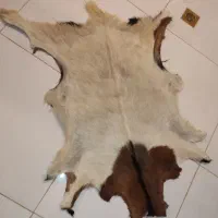 فرش پوست ، چرم طبیعی دباغی شده