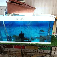 آکواریوم شیشه 10میل سیکوریت(خارجی برندمعتبرAQUA