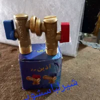 شیر حیاطی و شیرپیسوار