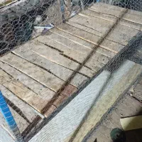 قفس اهننی برای جوجه وخروس هست
