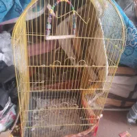 فروش قفس بزرگ پرنده