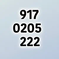 0917-0205222