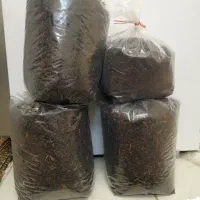 چای بهاری سر گل