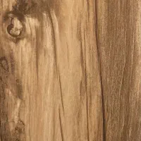 گالری آسمان هفتم