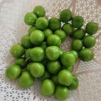 گوجه باغ شخصی کیلو ۱۳۰
