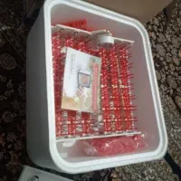 فروش مرغ تخمگزارودستگاه جوجه کشی وقفس